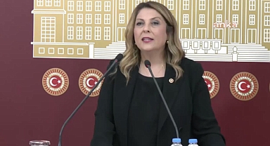 Giresun Milletvekili Elvan Işık Gezmiş'e Yeni Dönemde Kritik Görevler