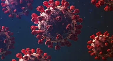 Mutasyon Geçirmiş Grip Virüsü H3N2 Türkiye'de