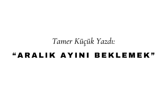 Aralık Ayını Beklemek