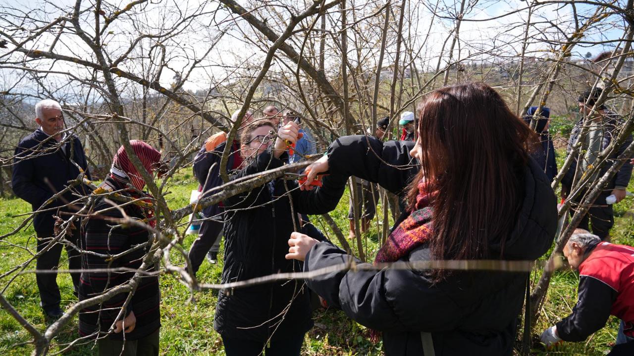 Ortahisar Belediyesi'nden Fındık Üreticilerine Uygulamalı Eğitim