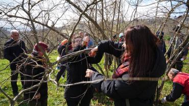 Ortahisar Belediyesi'nden Fındık Üreticilerine Uygulamalı Eğitim