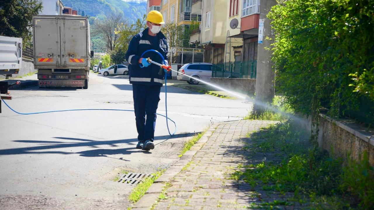 Fındık Üreticisine Nefes Aldıran Hamle: Giresun Belediyesi Sahaya İndi