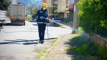 Fındık Üreticisine Nefes Aldıran Hamle: Giresun Belediyesi Sahaya İndi