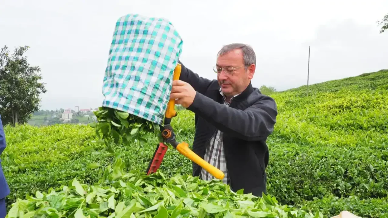Çaykur Genel Müdürü Yusuf Ziya Alim’den Kadro Açıklaması