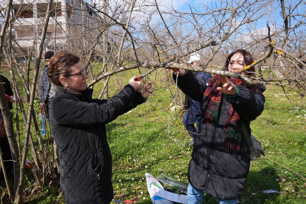 Ortahisar Belediyesi'nden Fındık Üreticilerine Uygulamalı Eğitim