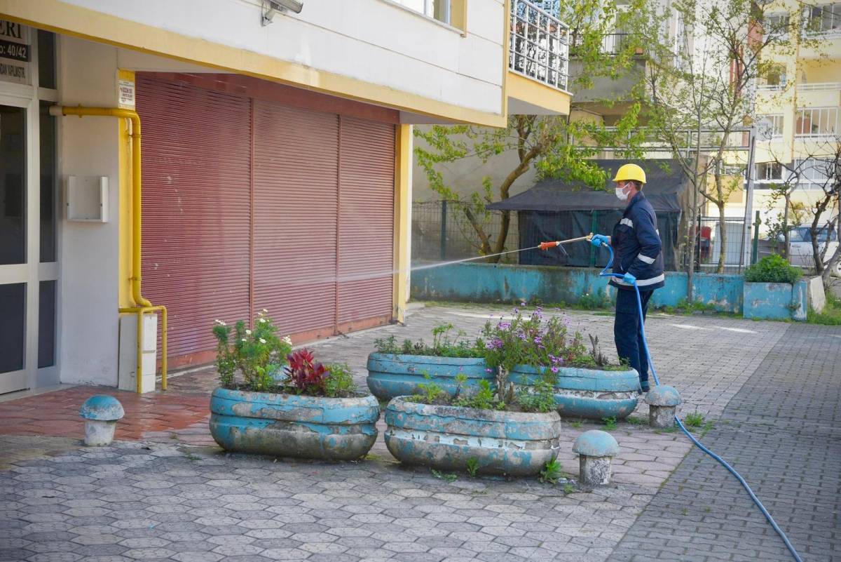 Fındık Üreticisine Nefes Aldıran Hamle: Giresun Belediyesi Sahaya İndi